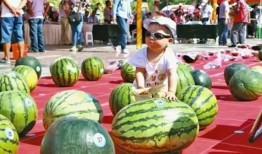 在线吃瓜--今日大赛,今日大赛精彩瞬间大盘点